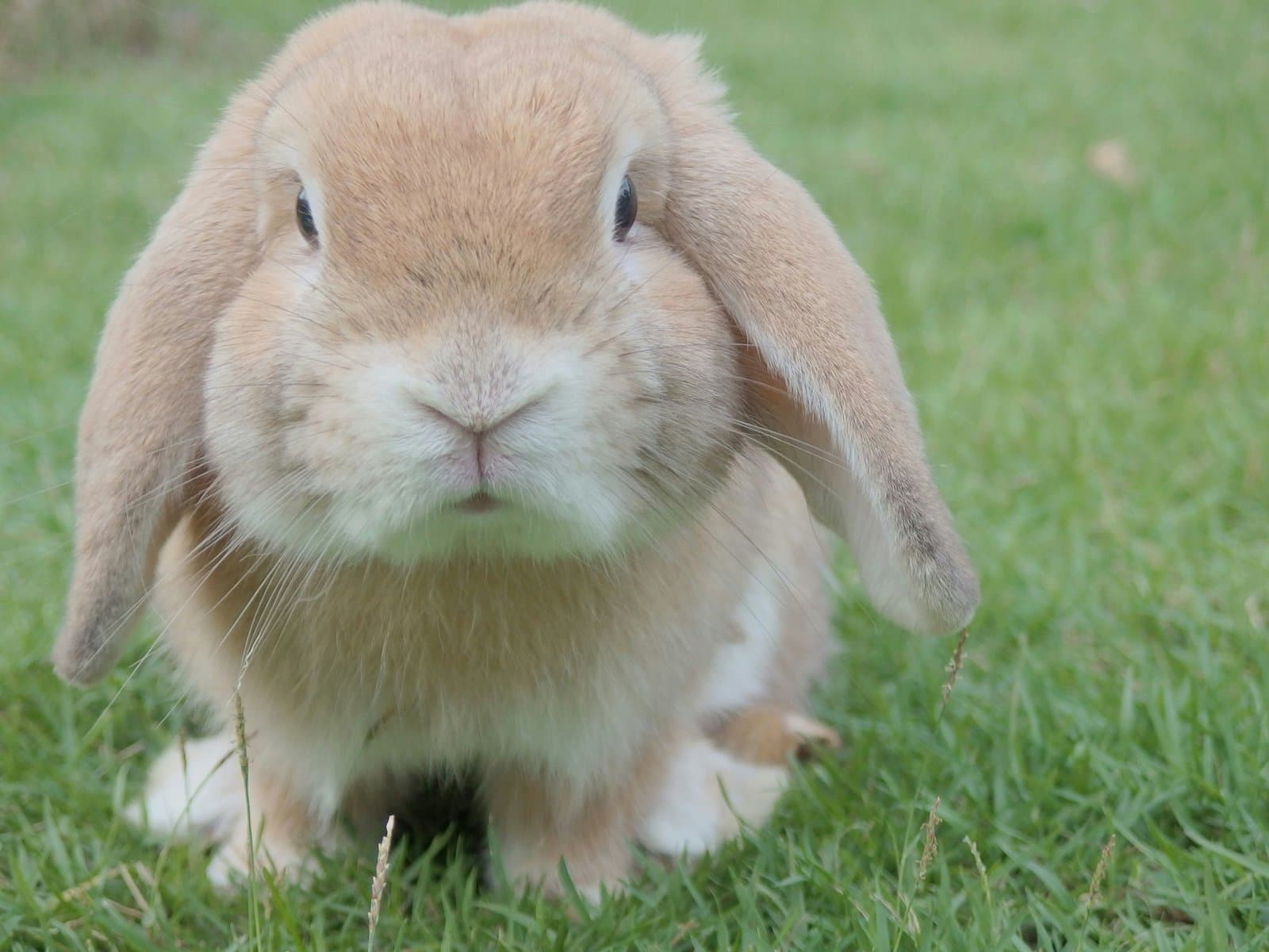 Incorporating Personal Interests and Hobbies into Easter Basket Themes
