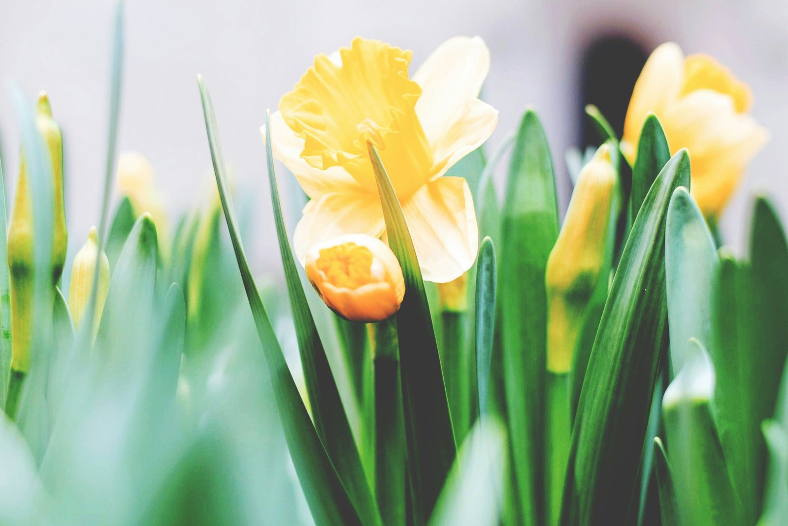 Where to Buy Affordable Easter Basket Fillers